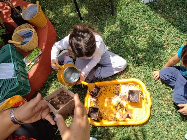 Montessori Asesores, foto 1