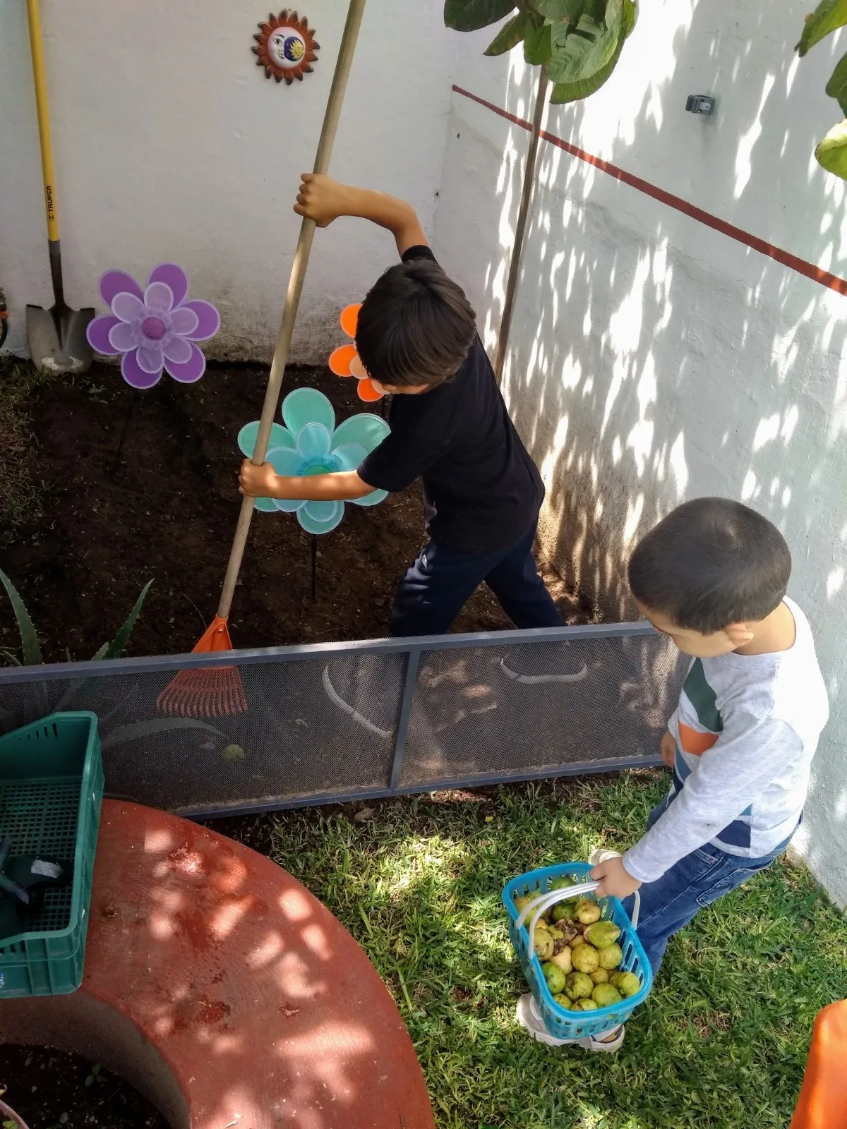 Niños trabajando en el huerto
