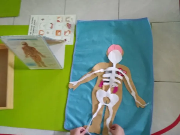 Montessori Asesores, foto 6