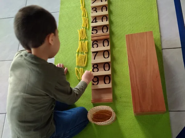 Desarrollo cognitivo