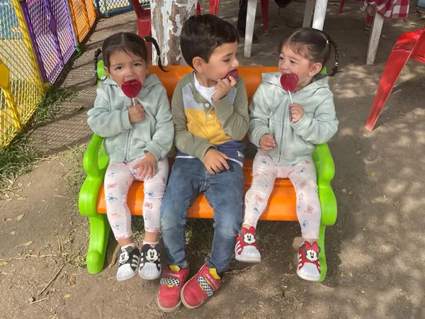 Desarrollo socio emocional