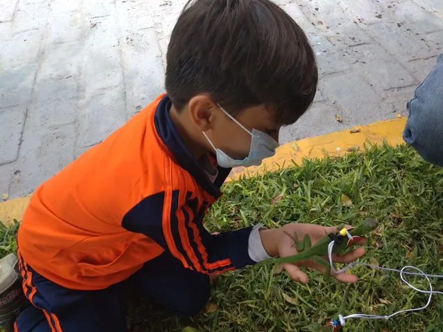 3. Calidad educativa